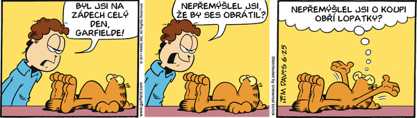 Garfield - strip 2011-06-25