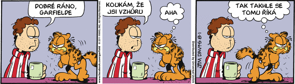 Garfield - strip 2011-08-01